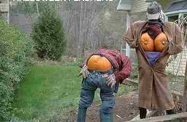 halloween funnies halloween funnies