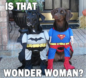 halloween funnies halloween funnies