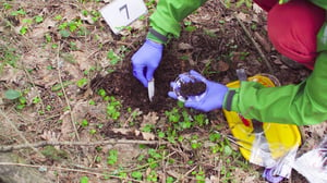 soil contamination test