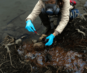 sewage contaminated soil treatment