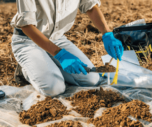True Or False: Soil Pollution Can Result In Dangerous Levels Of Silver