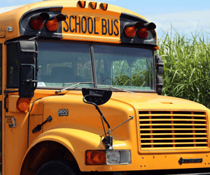 california school bus program