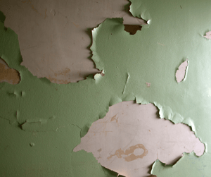 hazardous lead paint