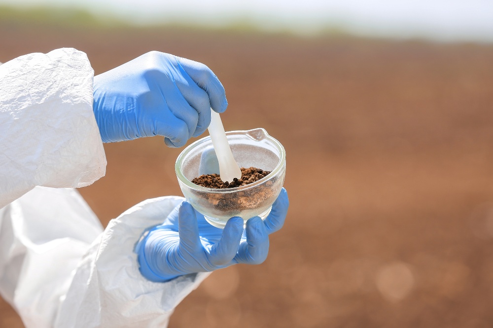 Lead Contamination In Soil What To Do When You Discover It